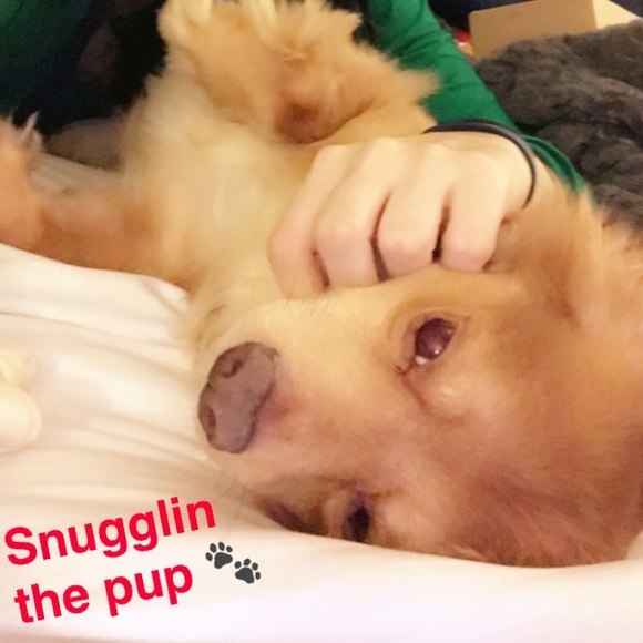 Meet your Posher, Jacci - Picture 1 of 5